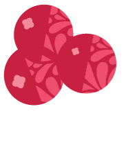 Cranberry flavor icon