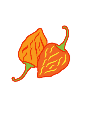 Illustration of two habanero peppers with stems on a white background