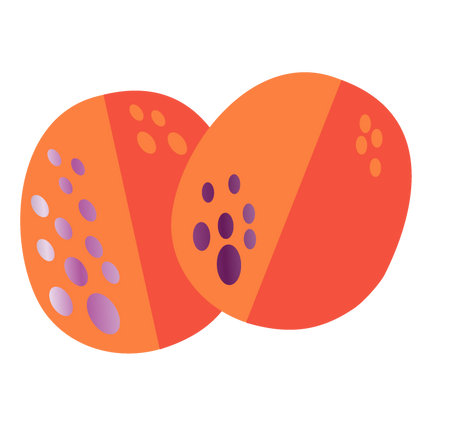 Mango flavor icon